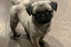 Abby0013
