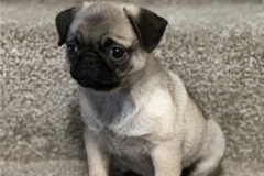 Abby0014