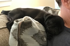 Bella0007