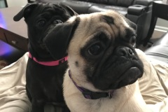 TheGirls0014
